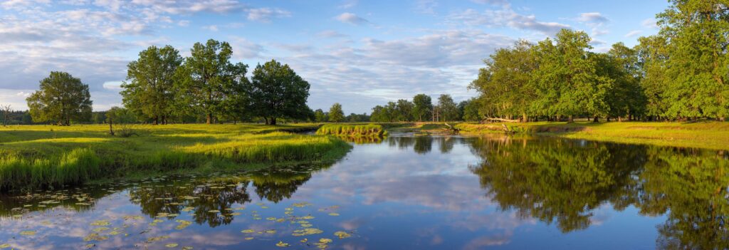 Красота первозданной природы: главные национальные парки и заповедники Беларуси