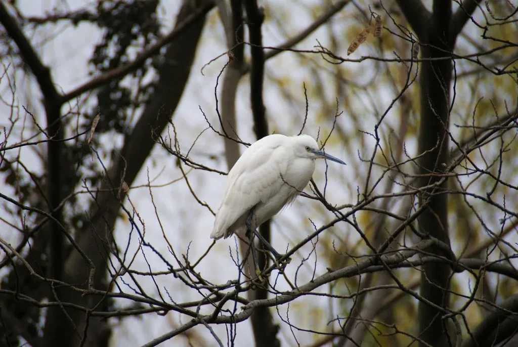Выходные в Беларуси: чем заняться 27–28 декабря