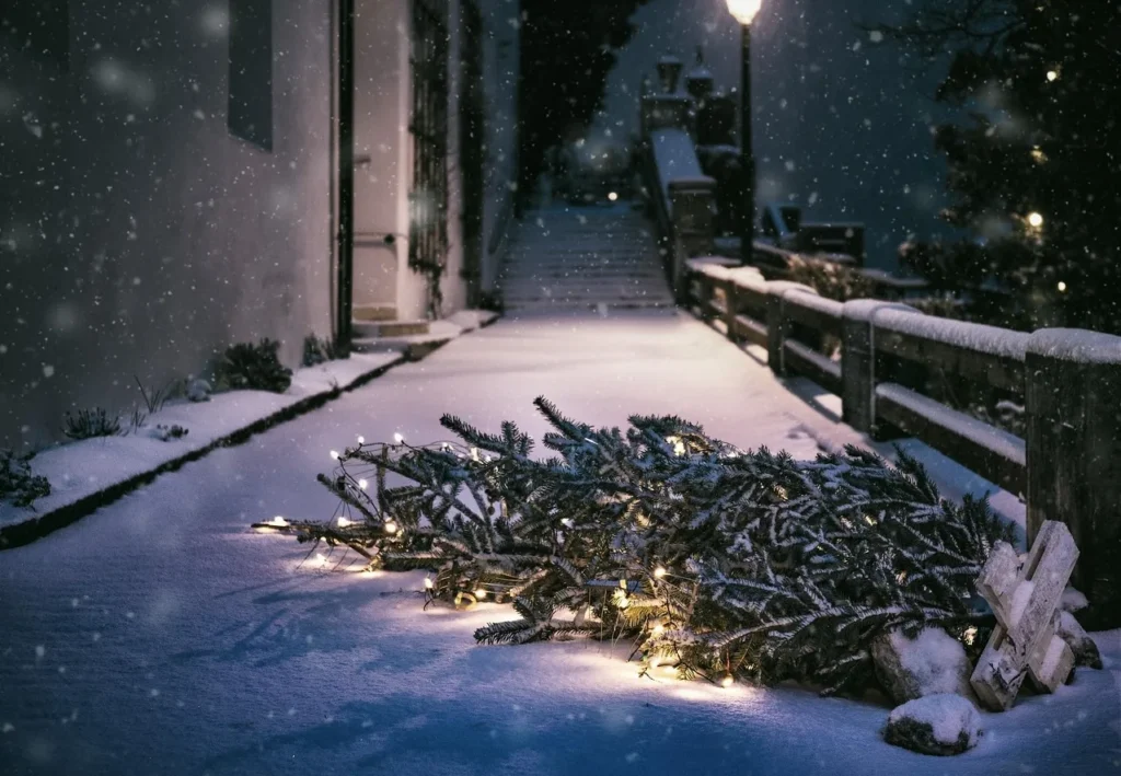 Выходные в Беларуси: чем заняться 20–21 декабря