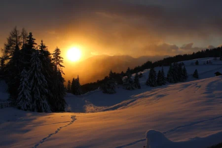 Выходные в Беларуси: чем заняться 10–11 января