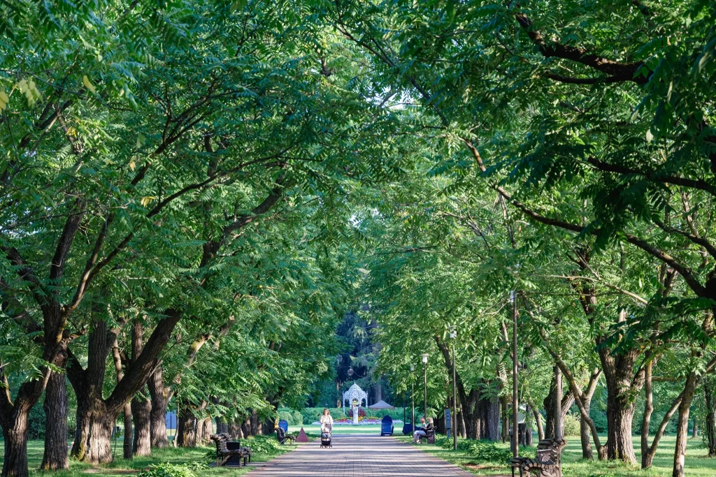Выходные в Беларуси: чем заняться 25–26 апреля