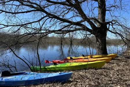 «Море Геродота». Почему припятские разливы нужно увидеть хотя бы раз?
