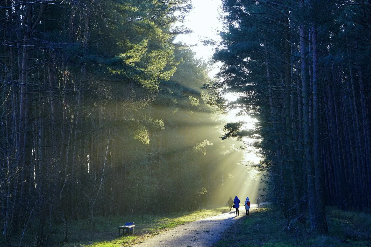 За здоровьем и релаксом: ТОП санаториев Минской области